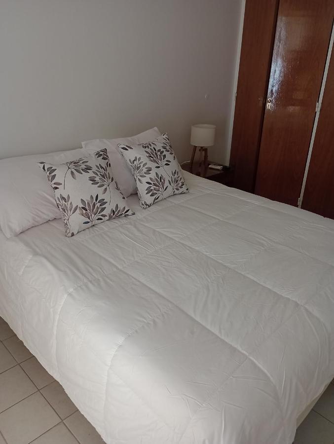 Departamento Belgrano Apartment Мендоса Екстериор снимка